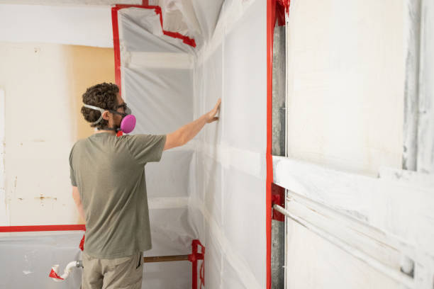 Best Basement Mold Removal  in Floral Park, NY