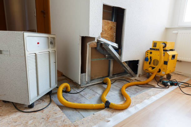 Environmental Consulting for Mold Prevention in Floral Park, NY