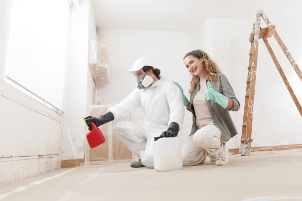 Reliable Floral Park, NY Mold Removal Solutions
