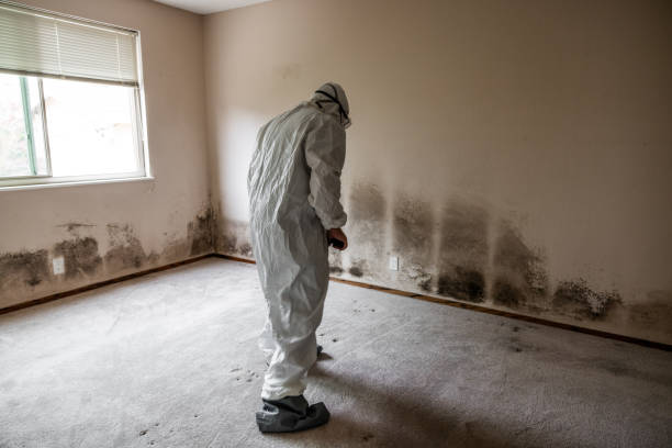 Best Air Quality Testing for Mold Spores  in Floral Park, NY